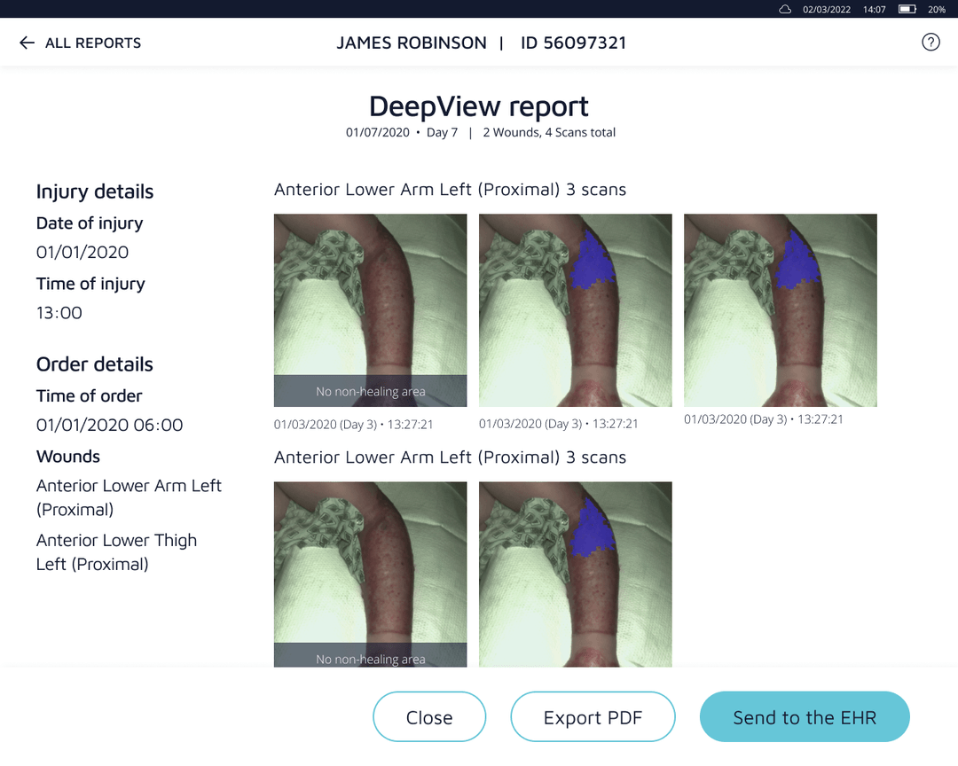 Old DeepView report: raw AI output with minimal context or explanation